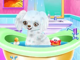 Mi nuevo amigo caniche